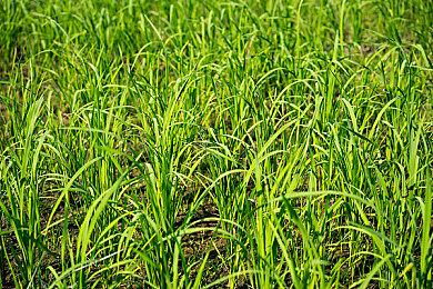 Bungie宣布将打击硬件外挂 一大波《命运2》封禁即将来袭