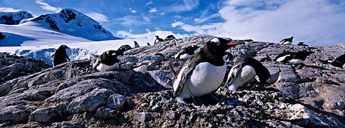 《Rogue Point》试玩发布 多人合作动作射击